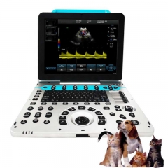 IN-P5VET Vet Portable Veterinary Ultrasonic Diagnostic Imaging Color Doppler System