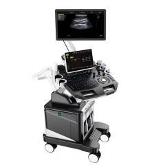 IN-T8VET Ultrasound Echo Machine 3d Medical Ultrasounido Instruments Veterinary Portable Ultrasound Scanner