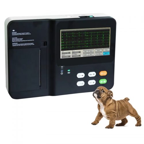 IN-03VET Veterinary Ecg 3 Channel Electrocardiograph Handheld Portable Ecg Machine 12 Leads