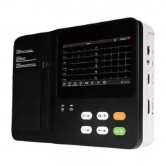 IN-03VET Veterinary Ecg 3 Channel Electrocardiograph Handheld Portable Ecg Machine 12 Leads