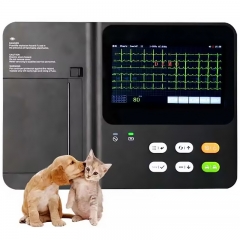 IN-03VET Veterinary Ecg 3 Channel Electrocardiograph Handheld Portable Ecg Machine 12 Leads
