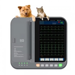 IN-12VET Medical Veterinary Equipment Ecg Machine 12 Channel Digital Cheap Ecg Machine Electrocardiograph