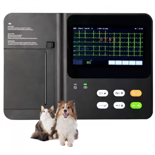 IN-06VET Portable 6-channel Digital Ecg Handheld Veterinary Instrument 12-lead Machine Rechargeable Dog