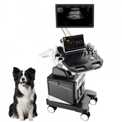 IN-T8VET Portable Medical Veterinary Ultrasound Equipment Animal Ultrasound Diagnose Scanner