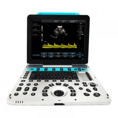 IN-P5VET Medical Portable Automatic Color Doppler Ultrasound Scanner Diagnostic System