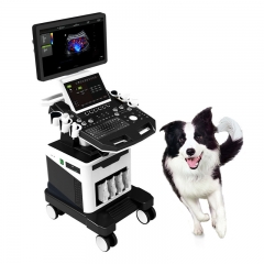 IN-T8VET Portable Medical Veterinary Ultrasound Equipment Animal Ultrasound Diagnose Scanner