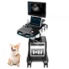 IN-T5VET Handheld Wireless Ultrasound Scanner For Pets Veterinary Medical Instrument With Electric Power Source Rectal Probe