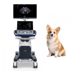 Mindray Vetus EQ Veterinary Ultrasound Scanner Portable Diagnostic Imaging System for Horse Clinic