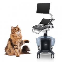 Mindray Vetus 50 Portable Veterinary Color Doppler Ultrasound USG Scanner for Comprehensive Animal Diagnosis