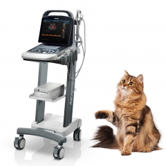 Mindray DP-30 Vet Portable Veterinary Ultrasound for Fast Diagnosis in Clinic and Field Applications