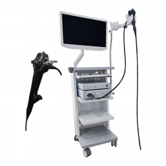 IN-900A Professional Human Medical Video Endoscopy System Gastroscopy And Colonoscopy Flexible Endoscope