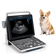 Mindray DP-50 Vet Veterinary X Ray Machine Veterinary USG Equipment for Animal Hospital Diagnostic Imaging