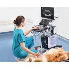 Mindray Vetus 50 Veterinary Diagnostic Ultrasound System for Pet Livestock and Equine Veterinary Imaging