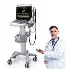 Mindray DP-50 Vet Portable Veterinary Ultrasound Veterinary USG Scanner for Animal Medical Diagnosis