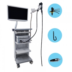 IN-900A Professional Human Medical Video Endoscopy System Gastroscopy And Colonoscopy Flexible Endoscope