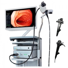 IN-900A Professional Human Medical Video Endoscopy System Gastroscopy And Colonoscopy Flexible Endoscope