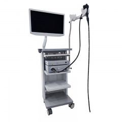 IN-900A Medical Hd Endocope System With Gastroscope & colonoscope Video Enodoscope