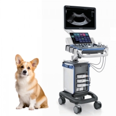 Mindray Vetus 5Exp Portable Veterinary Color Doppler Ultrasound System for Animal Hospital Diagnostic Equipment