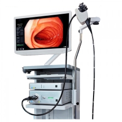 IN-900A Gastroscope Colonoscopy Hospital Medical Endoscope Camera System Flexible Video Gastroscope