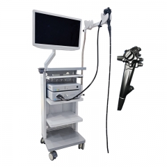 IN-900A Gastroscope Colonoscopy Hospital Medical Endoscope Camera System Flexible Video Gastroscope