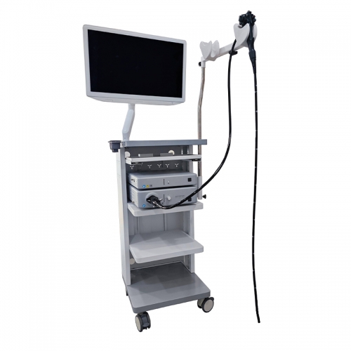 IN-900A Gastroscope Colonoscopy Hospital Medical Endoscope Camera System Flexible Video Gastroscope