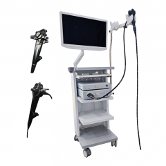 IN-900A Gastroscope Colonoscopy Hospital Medical Endoscope Camera System Flexible Video Gastroscope