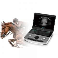 Mindray Vetus EQ Portable Equine Veterinary Ultrasound Machine for Horse Pregnancy and Reproductive Diagnosis