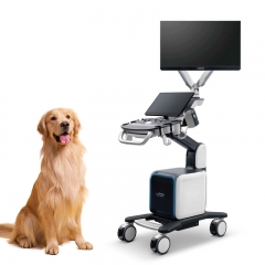 Mindray Vetus 80 High Precision Dual Screen Veterinary Color Doppler Ultrasound System Trolley Imaging Machine