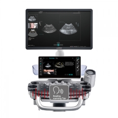 Mindray Vetus 50 Portable Veterinary Ultrasound USG Machine Color Doppler Scanner for Animal Clinic Hospital Use