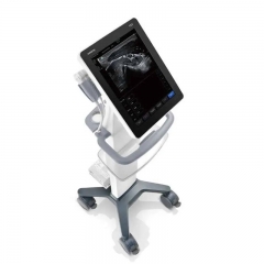 Mindray TE5 Vet Multi-Function Portable Vet Ultrasound, Comprehensive Diagnostic Tool for All Practices