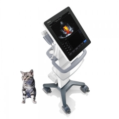 Mindray TE5 Vet Intraoperative Veterinary Ultrasound, Real-Time Imaging for Guided Procedures & Surgery