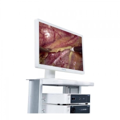 Mindray Vetina CS3 Vet Animal Ultrasound Scanner High-Resolution Imaging for Veterinary Diagnostics