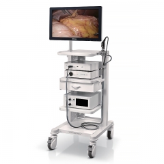 Mindray HD3 Endoscopic Camera Platform with Clear Visualization and Reliable Imaging for OR Efficiency