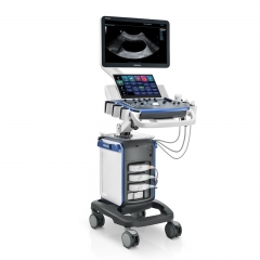 Mindray Vetus 5 Veterinary Imaging Platform with Smart Workflow Support and Advanced Clinical Features