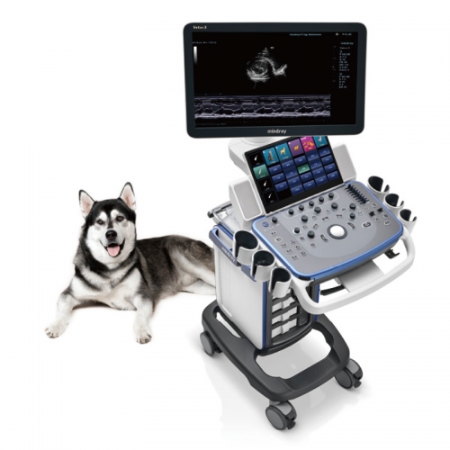 Mindray Vetus 5 Veterinary Imaging Platform with Smart Workflow Support and Advanced Clinical Features