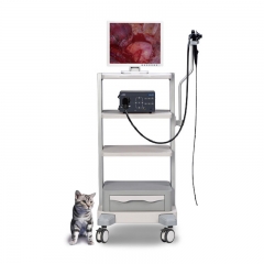 Mindray Vetina ES3 Veterinary Diagnostic Ultrasound Machine Reliable Imaging System for Animal Healthcare