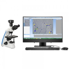 IN-QB200B Laboratory Sperm Analyzer with Automated Analysis Software and Flexible Data Management System