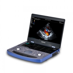 Mindray Vetus 7 Veterinary Imaging Platform with Advanced Tools and Reliable Performance for Clinics