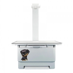 IN-VDR320A10 Double Column High Frequency X-Ray Inspection Scanner Digital Safe X-Ray Machine for Doctor's Diagnosis