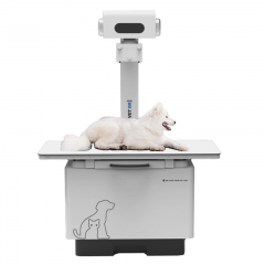 IN-32KW-P Flat Panel X Ray Digital Wireless Veterinary X-ray Dr Xray Machine