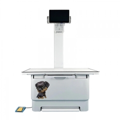 IN-VDR320A10 Medical Double Column X-ray Machine with Dr Panel Floor Mounted Xray Equipment Hospital Standing DR X Ray Machine