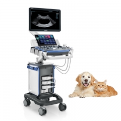 Mindray Vetus 5 Veterinary Imaging Platform with Smart Workflow Support and Advanced Clinical Features