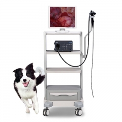 Mindray Vetina ES3 Veterinary Diagnostic Ultrasound Machine Reliable Imaging System for Animal Healthcare
