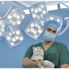 Mindray HyLED C50 Vet Veterinary Operating Light High Brightness LED Surgical Lamp for Pet Hospital