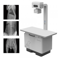 IN-32KW-P Flat Panel X Ray Digital Wireless Veterinary X-ray Dr Xray Machine