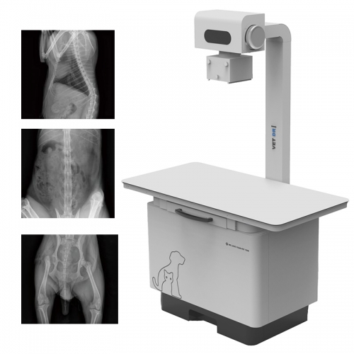 IN-32KW-P Flat Panel X Ray Digital Wireless Veterinary X-ray Dr Xray Machine