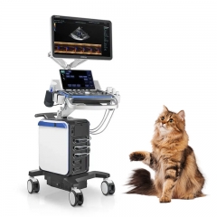 Mindray Vetus 8 Veterinary Imaging Platform with Smart Tools and Reliable Performance for Clinics