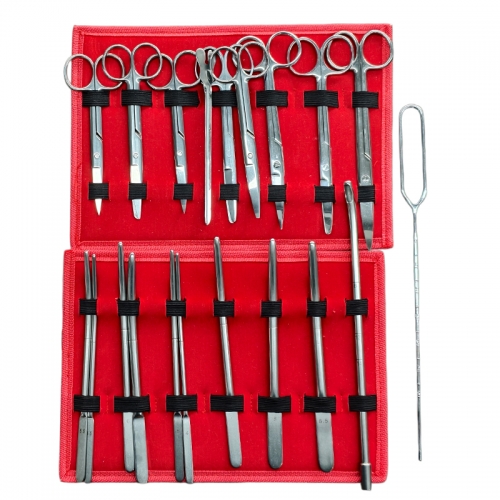 IN-CP High Standard Curettage Surgical Sterile Kit for Clinical Gynecology Applications