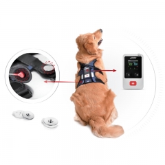 Mindray TMS30 Vet Veterinary Anesthesia System Reliable Workstation for Animal Surgery and Clinical Procedures