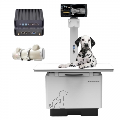IN-32KW-P Portable Veterinary Digital X-ray Flat Table System for Clinics